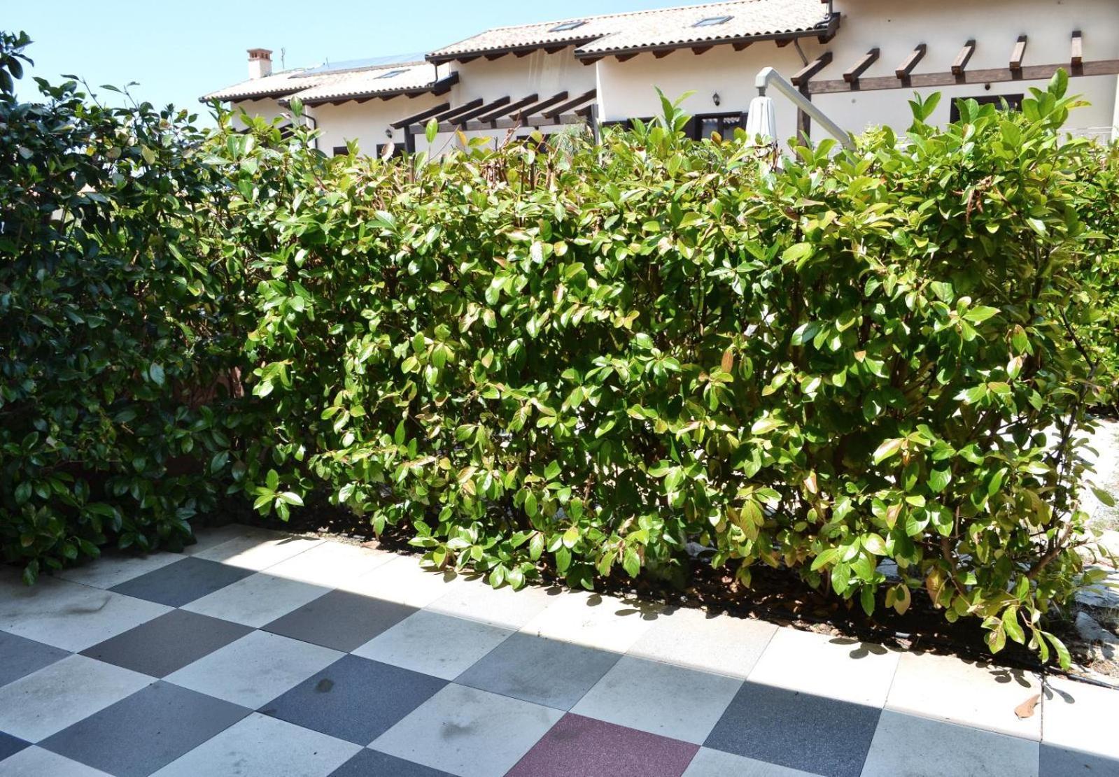 Le Case Del Carmine Con Giardino E Parcheggio A Tropea Exterior photo